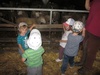 Mit den Kindern auf den Bauernhof