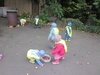 Kastanien sammeln mit den Kindern